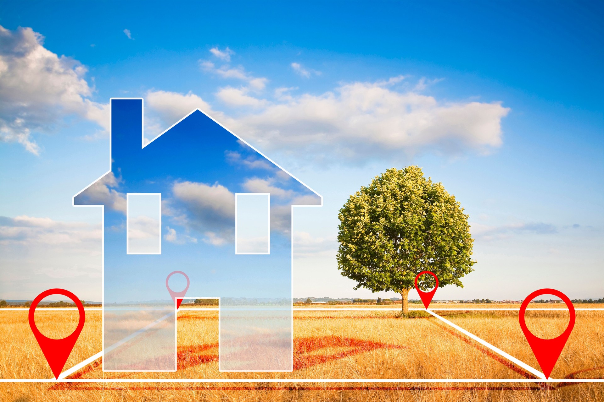 Land plot management - real estate concept with a vacant land, lone tree on a wheat field available for building construction and housing development in a residential area for sale with small house